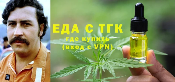 индика Каменка
