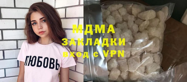 индика Каменка