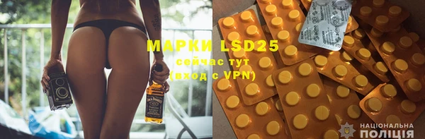 индика Каменка