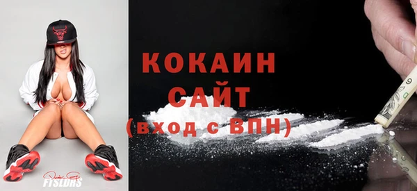 индика Каменка