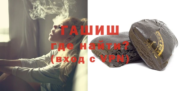 индика Каменка