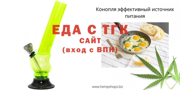 индика Каменка