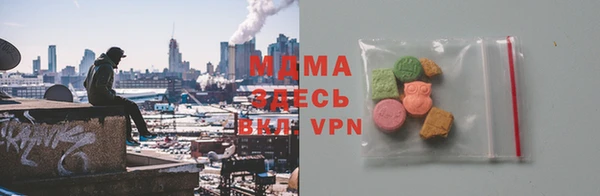 индика Каменка