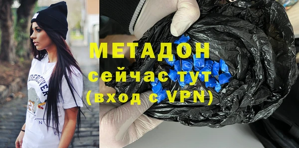 индика Каменка