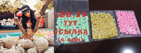 индика Каменка
