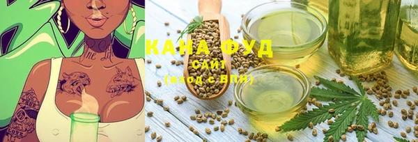 индика Каменка