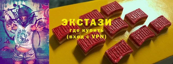 индика Каменка