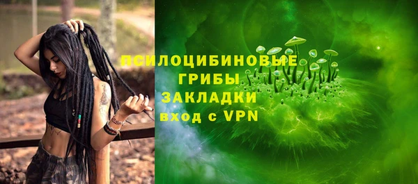 индика Каменка
