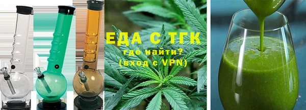 индика Каменка