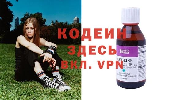 индика Каменка