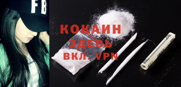 индика Каменка