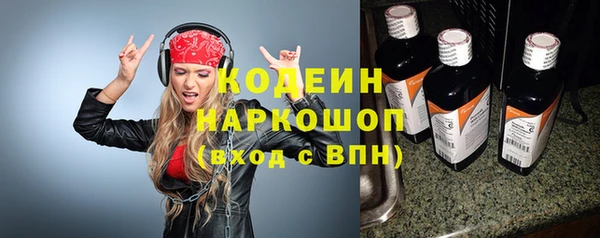 индика Каменка