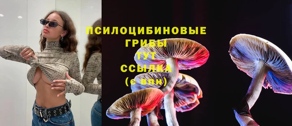 бошки Каменск-Шахтинский