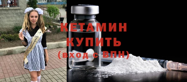 индика Каменка