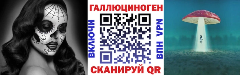 Галлюциногенные грибы GOLDEN TEACHER  Купить где  Малгобек 